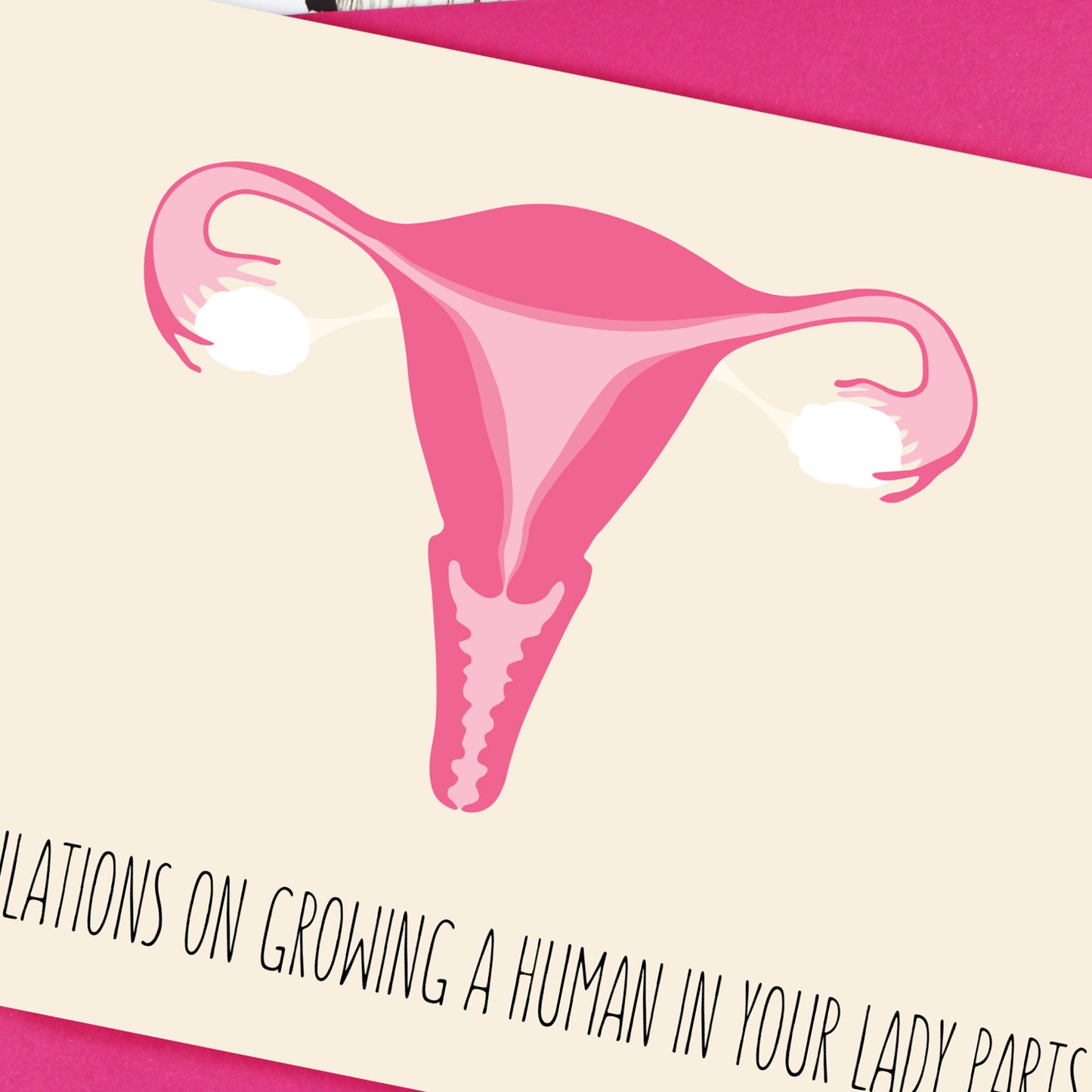 Close up of uterus illustration