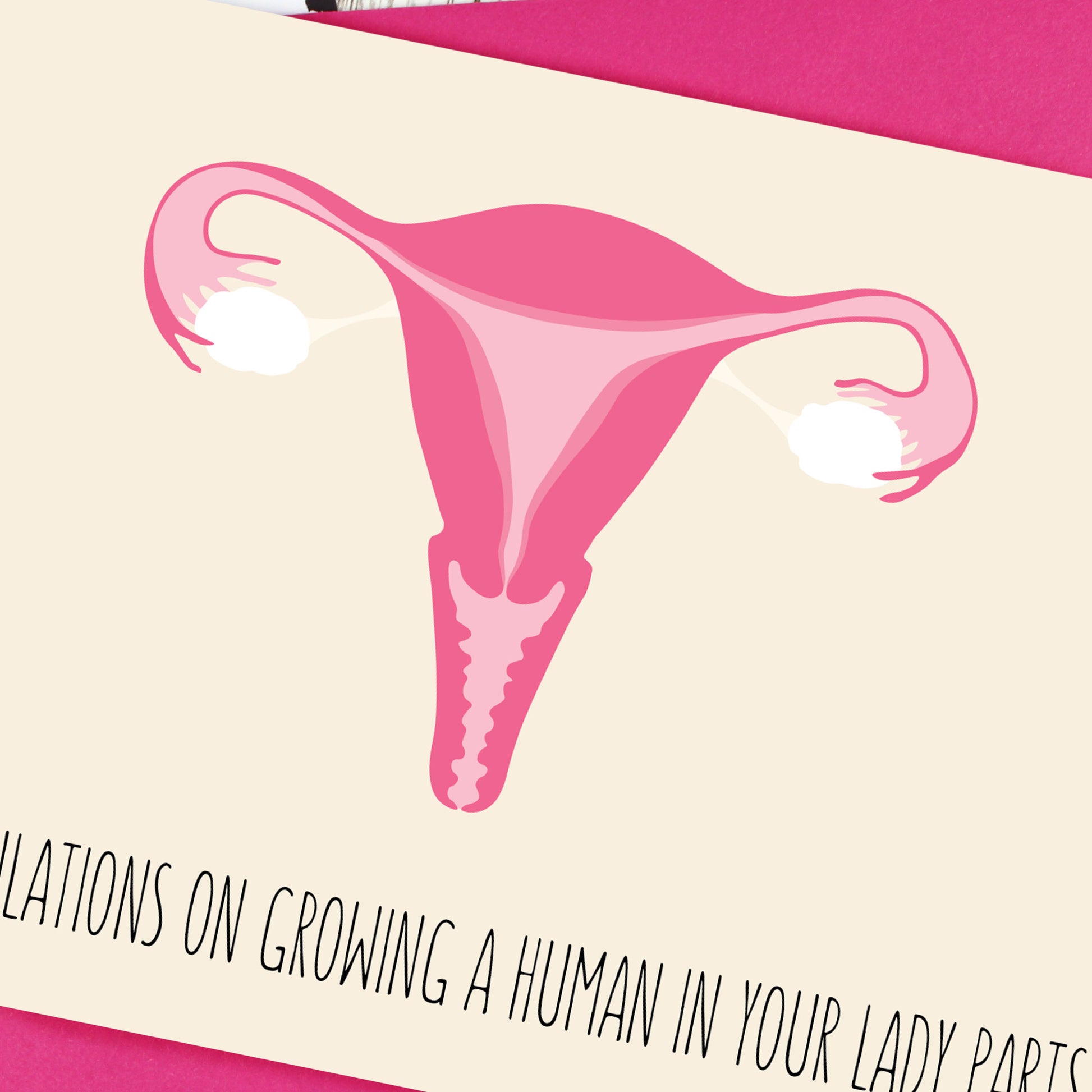 Close up of uterus illustration
