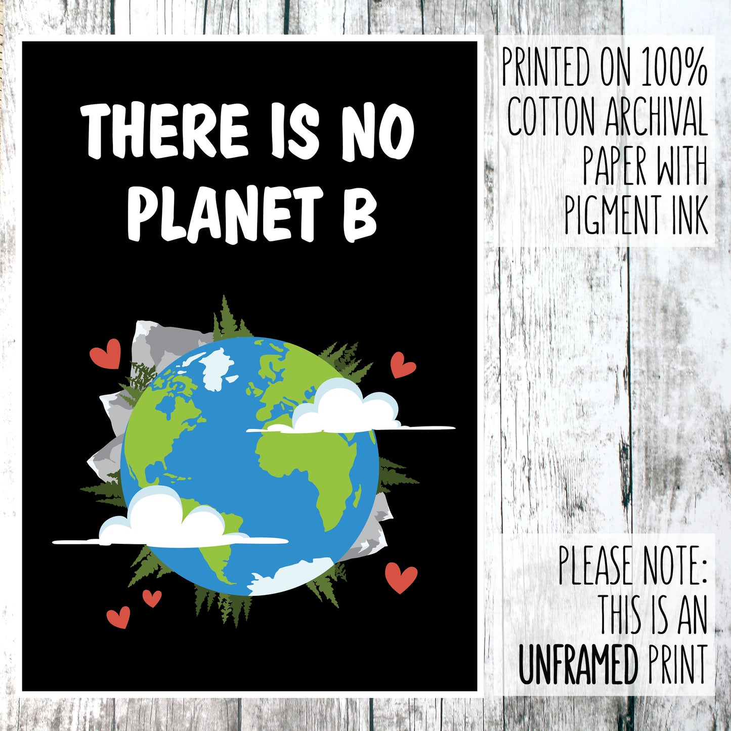 No planet B wall art