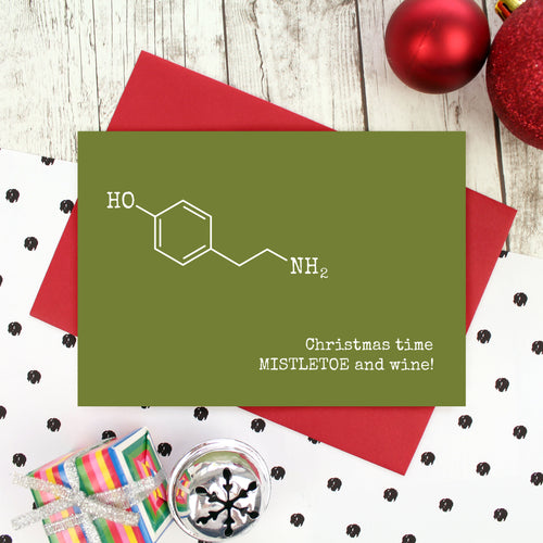 Christmas time, Mistletoe and wine card