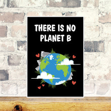 Load image into Gallery viewer, There is no planet B wall art