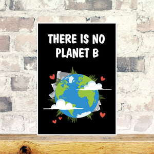 There is no planet B wall art