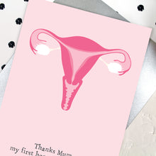 Load image into Gallery viewer, Close up of uterus illustration
