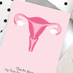Close up of uterus illustration