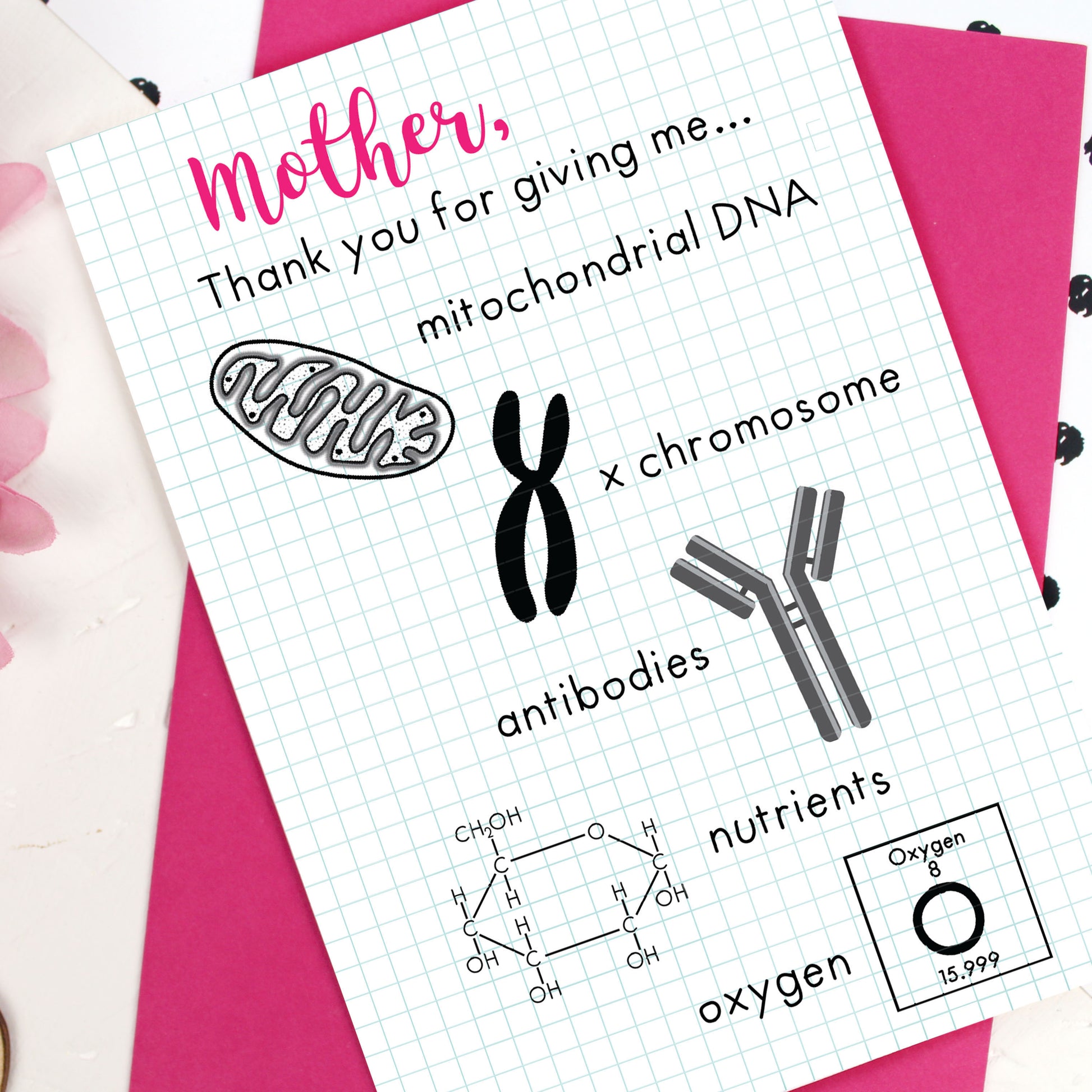 Mitochondrial DNA, x chromosome, antibodies, nutrient and oxygen